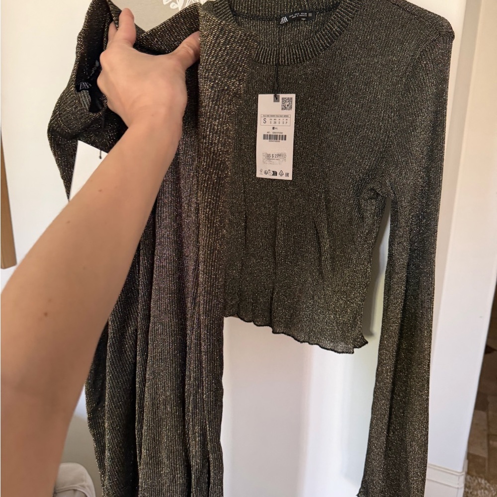 Zara Shimmering Gold Crop Top